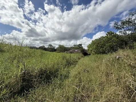 880 Ainalako Road Hilo HI 96720