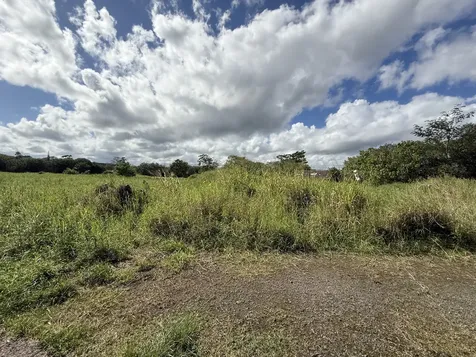 880 Ainalako Road Hilo HI 96720