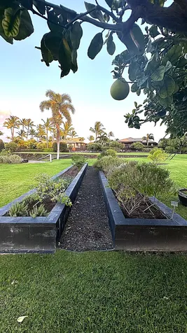 Pukaua Place Kamuela HI 96743