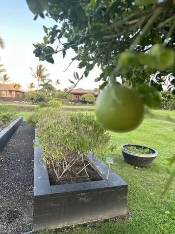 Pukaua Place Kamuela HI 96743