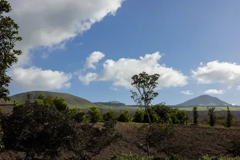 59-1136 Kalama Way Kamuela HI 96743