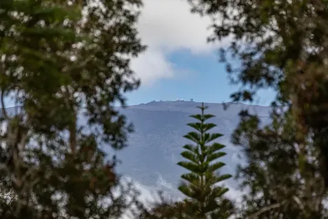 64-5097 White Road Kamuela HI 96743