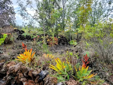 92-8584 Paradise Circle Mauka Ocean View HI 96737