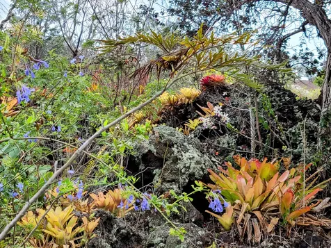 92-8584 Paradise Circle Mauka Ocean View HI 96737