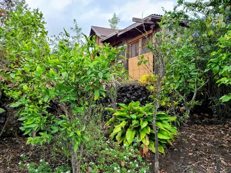 92-8584 Paradise Circle Mauka Ocean View HI 96737