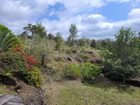 92-8584 Paradise Circle Mauka Ocean View HI 96737