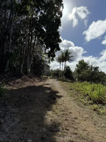 47-4536 Honokaa Waipio Road Honokaa HI 96727