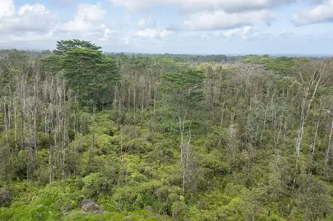 16-372 Aulii Street Kurtistown HI 96760