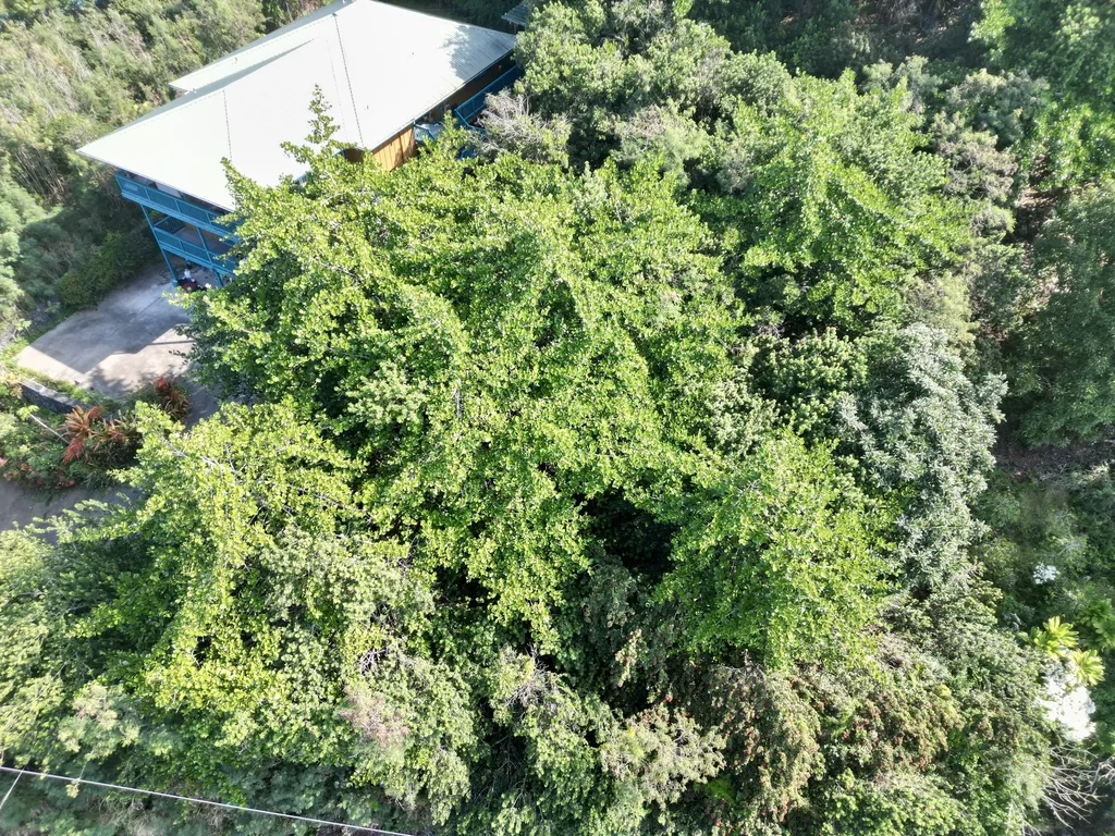 Kaohe Road Captain Cook HI 96704