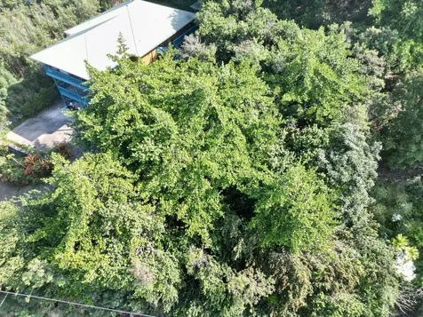 Kaohe Road Captain Cook HI 96704