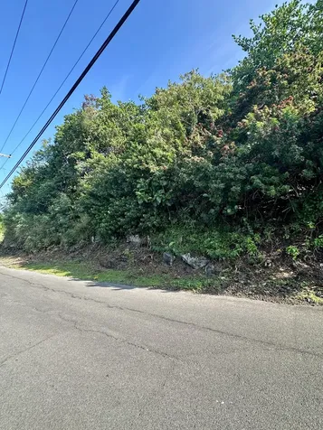 Kaohe Road Captain Cook HI 96704