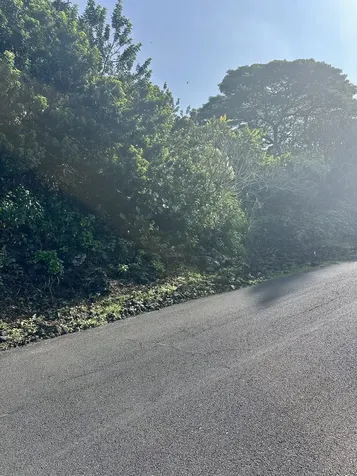 Kaohe Road Captain Cook HI 96704