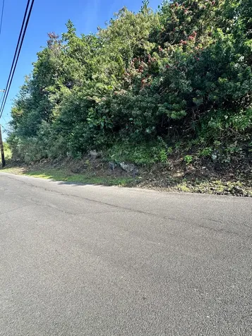 Kaohe Road Captain Cook HI 96704