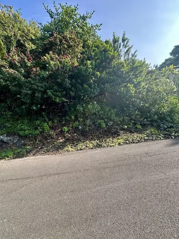 Kaohe Road Captain Cook HI 96704