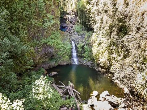 31-590 Hawaii Belt Road Ninole HI 96773