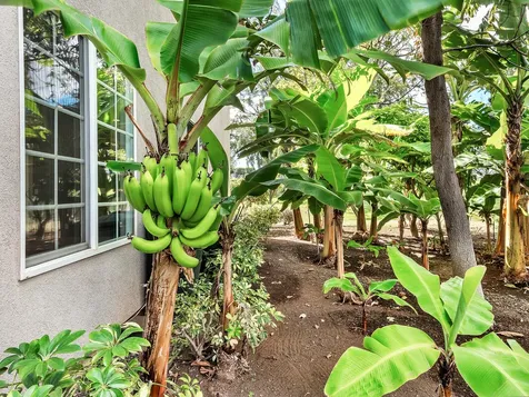 68-3888 Lua Kula Street Waikoloa HI 96738