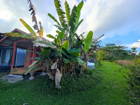 13-1252 Leilani Avenue Pahoa HI 96778