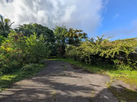 13-1252 Leilani Avenue Pahoa HI 96778