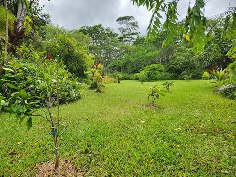 13-1252 Leilani Avenue Pahoa HI 96778