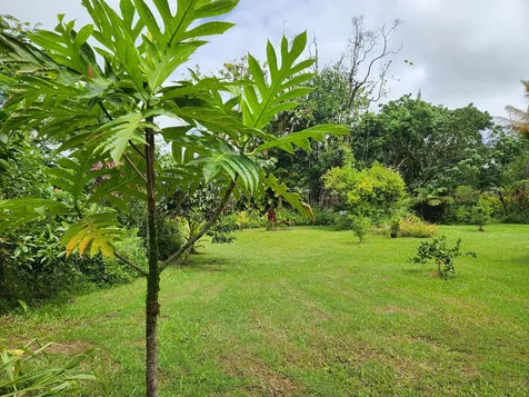 13-1252 Leilani Avenue Pahoa HI 96778