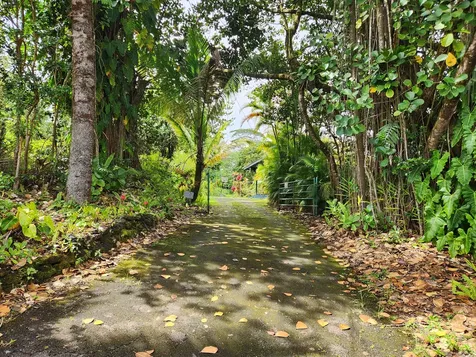 13-1252 Leilani Avenue Pahoa HI 96778