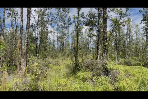 Road 8 (MOHO) Mountain View HI 96760