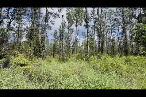 Road 8 (MOHO) Mountain View HI 96760