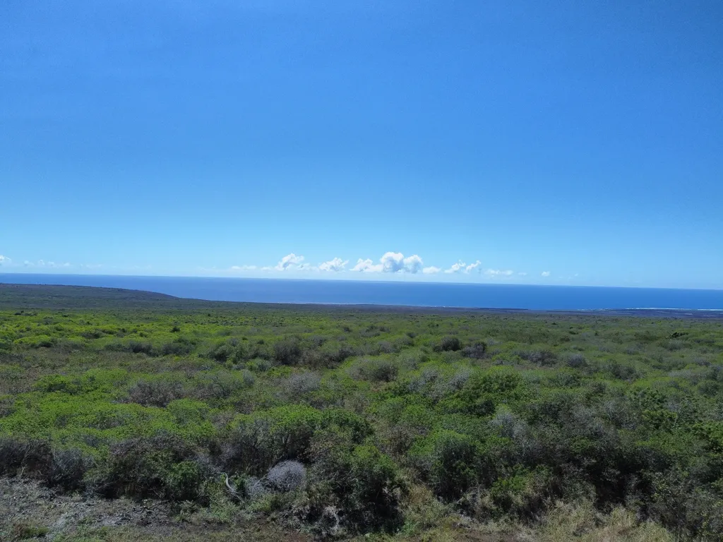 Wakea Avenue Naalehu HI 96772