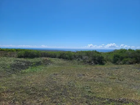 Wakea Avenue Naalehu HI 96772