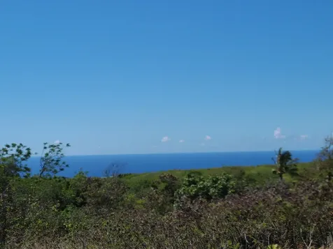 Wakea Avenue Naalehu HI 96772