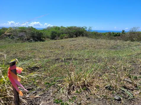 Wakea Avenue Naalehu HI 96772