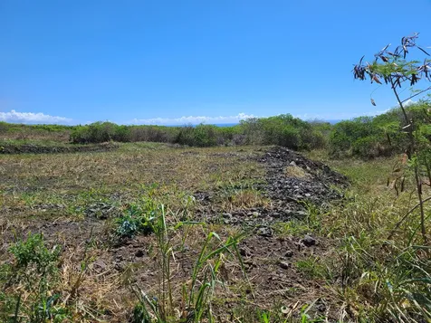 Wakea Avenue Naalehu HI 96772