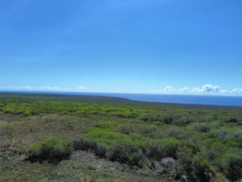 Wakea Avenue Naalehu HI 96772