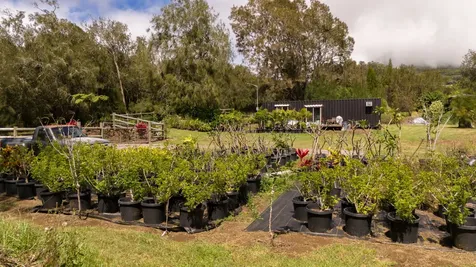 64-5288 Mokuloa Drive Kamuela HI 96743