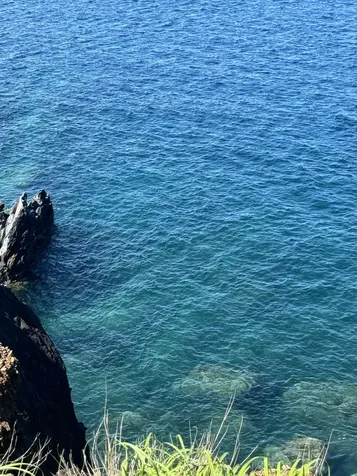 59-111 Pakuikui Place Kamuela HI 96743