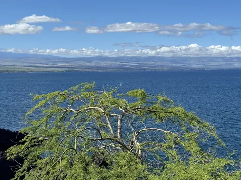 59-111 Pakuikui Place Kamuela HI 96743