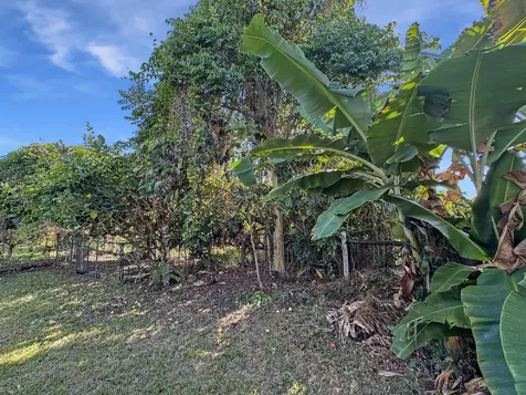 136 Mauna Loa Street Hilo HI 96720