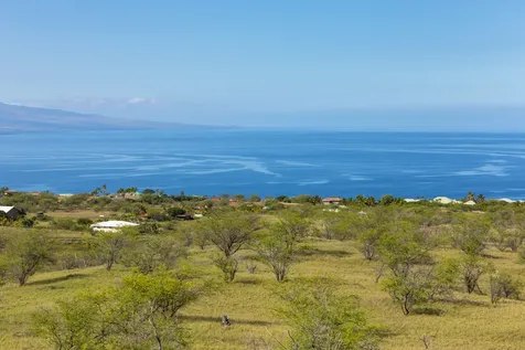 Pueo Place Kamuela HI 96743