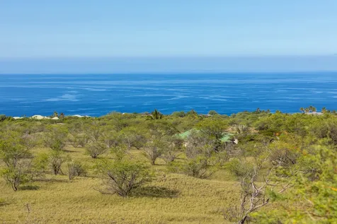 Pueo Place Kamuela HI 96743