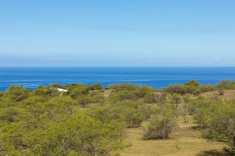 Pueo Place Kamuela HI 96743