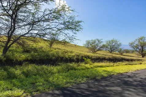 Pueo Place Kamuela HI 96743