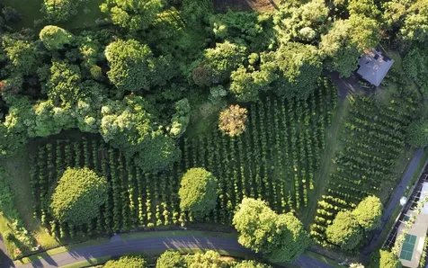 77-6301 Kaumalumalu Drive Holualoa HI 96725