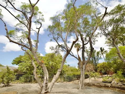 68-1930 Puu Nui Street Waikoloa HI 96738