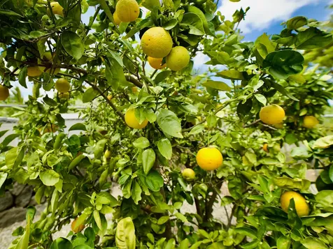 68-1930 Puu Nui Street Waikoloa HI 96738