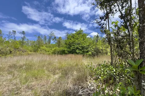 15-1641 Kaloli Drive Keaau HI 96749