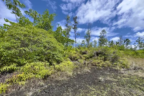 15-1641 Kaloli Drive Keaau HI 96749