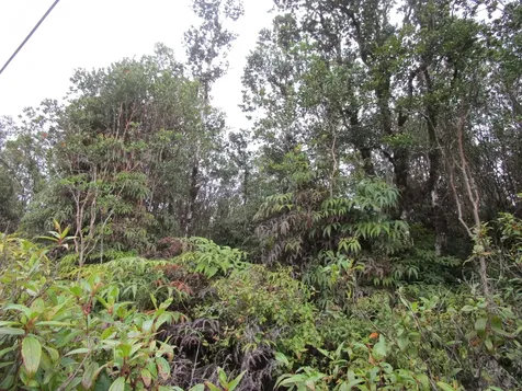 Road 1 (uhini Ana) Mountain View HI 96760