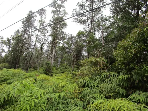 Road 1 (uhini Ana) Mountain View HI 96760