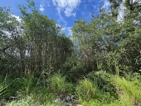 Kehaulani Street Keaau HI 96749