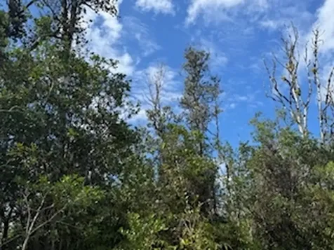 Kehaulani Street Keaau HI 96749